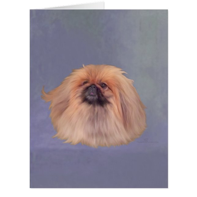 Pekingese on Blue (Front)