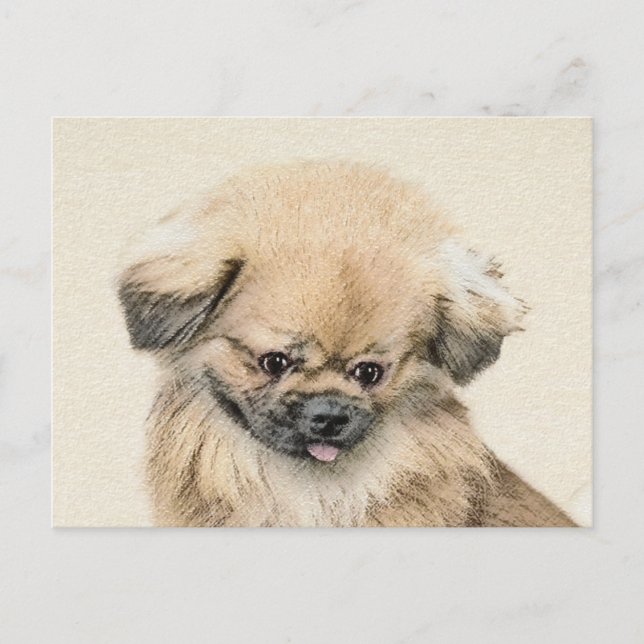 Pekingese Painting - Cute Original Dog Art Postcard (Front)