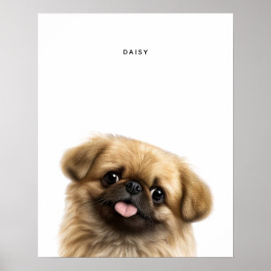 Pekingese Personalized Print
