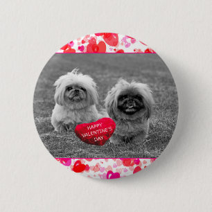 Pekingese Puppies wishing Happy Valentine's Day 2 Inch Round Button