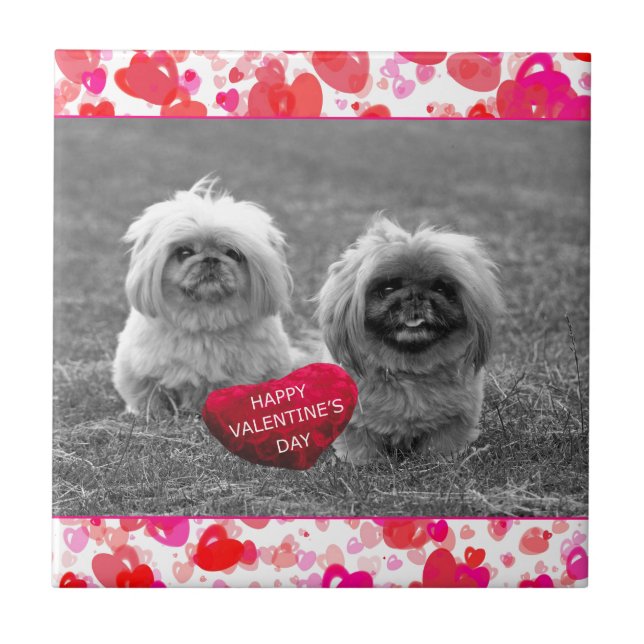 Pekingese Puppies wishing Happy Valentine's Day Tile (Front)