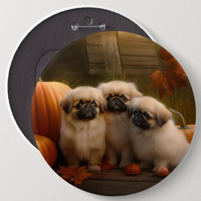 Pekingese Puppy Autumn Delight Pumpkin  6 Inch Round Button (Front & Back)