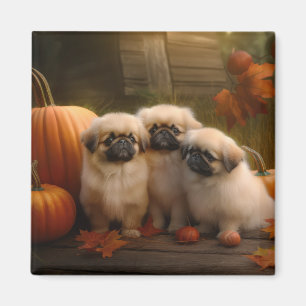 Pekingese Puppy Autumn Delight Pumpkin  Magnet