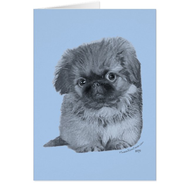 Pekingese Puppy Blue (Front)