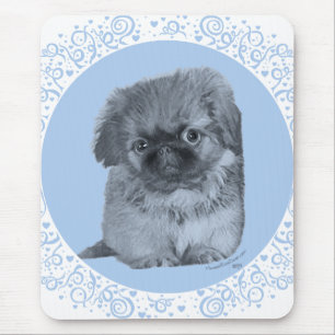 Pekingese Puppy Blue Mouse Pad