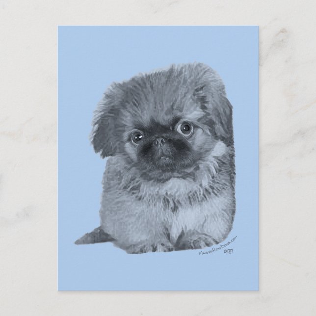 Pekingese Puppy Blue Postcard (Front)