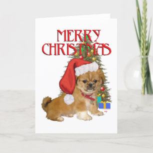 Pekingese Puppy Christmas Holiday Card