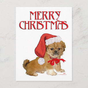 Pekingese Puppy Christmas Holiday Postcard