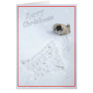 Pekingese Puppy First Christmas