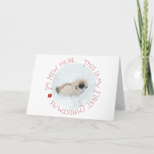 Pekingese Puppy First Christmas Holiday Card