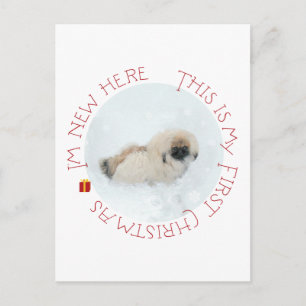 Pekingese Puppy First Christmas Holiday Postcard
