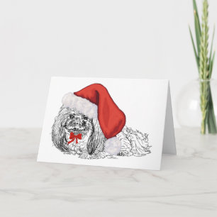 Pekingese Santa Sketch Holiday Card