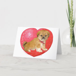 Pekingese / Shih Tzu Mix Valentine's Day Holiday Card