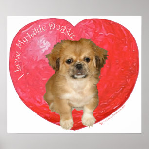Pekingese / Shih Tzu Valentine's Day Poster