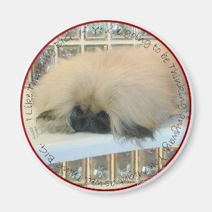 Pekingese Thinking Big Magnet