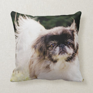 Pekingese Throw Pillow
