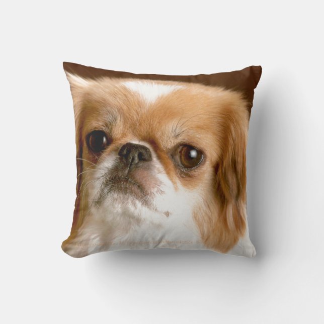 "Pekingese" Throw Pillow (Front)