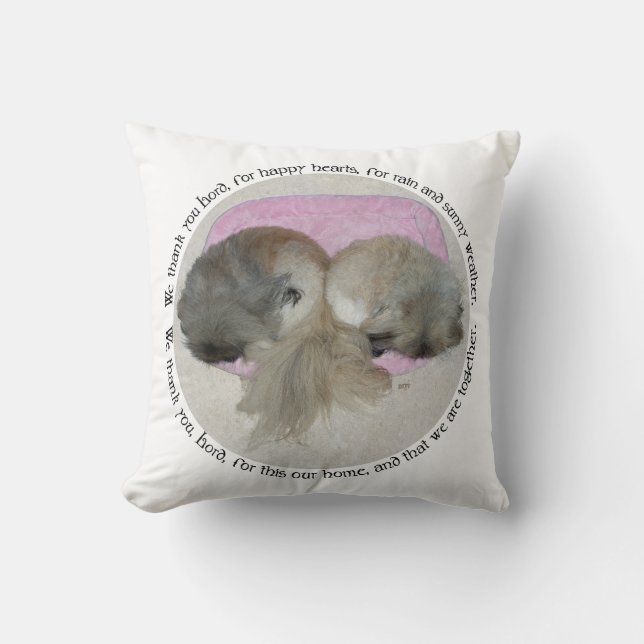 Pekingese Together Throw Pillow (Front)