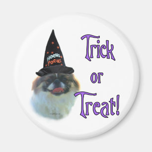 Pekingese Trick Magnet