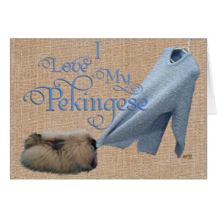 Pekingese Tug-O-War