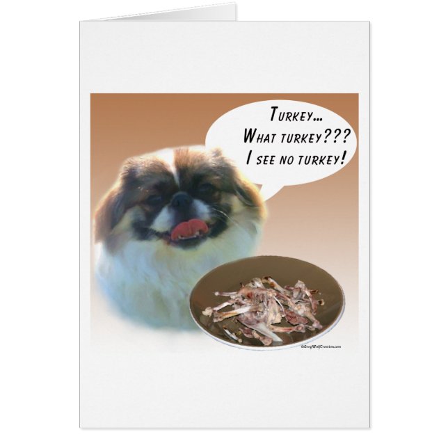 Pekingese Turkey (Front)