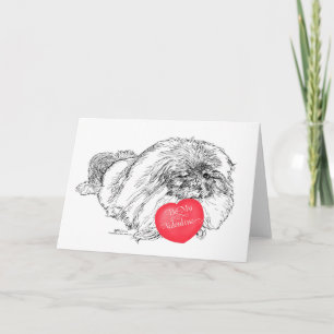 Pekingese Valentine Holiday Card