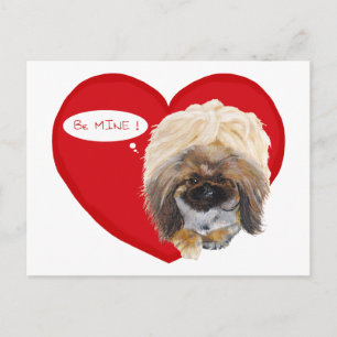 Pekingese Valentine Holiday Postcard