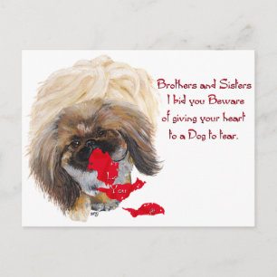Pekingese Valentine Holiday Postcard