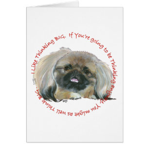 Pekingese Wisdom - Thinking BIG