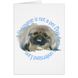 Pekingese Wisdom - Undersized Lion !