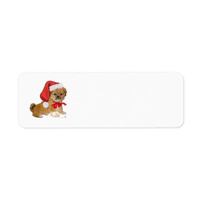 Pékinois Noël (Devant)