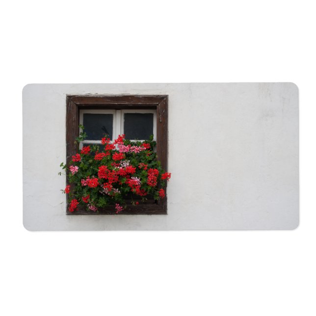 Pélargonium rouge et rose (Devant)