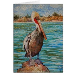 Pelican