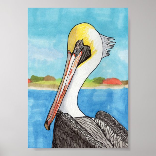 Pelican 5x7 poster (Front)