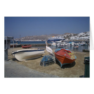 Pelican and Boats