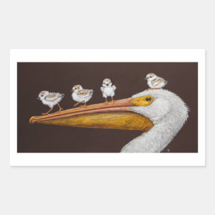 Pelican and plovers stickers