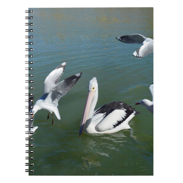 Pelican And The  Gate Crashers,  Notebook (Front)