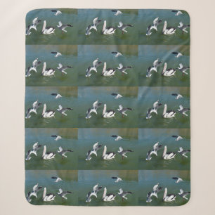 Pelican And The Gate Crashers, Sherpa Blanket