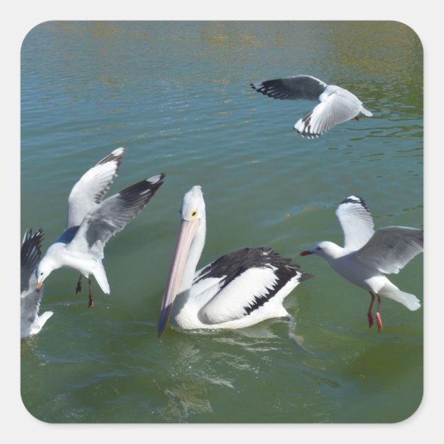 Pelican And The  Gate Crashers,  Square Sticker (Front)