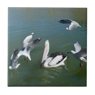 Pelican And The Gate Crashers, Tile