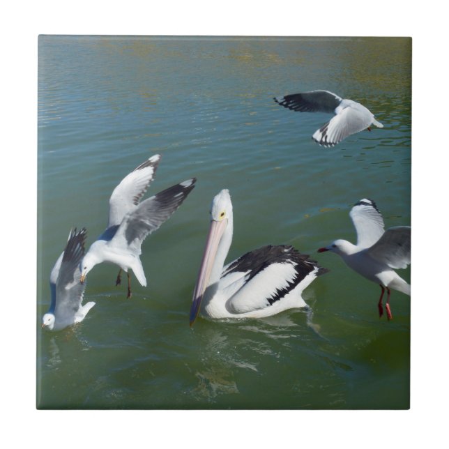 Pelican And The  Gate Crashers,  Tile (Front)