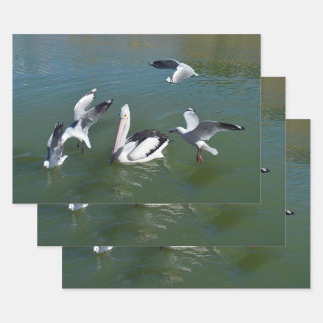 Pelican And The  Gate Crashers,  Wrapping Paper Sheet (Set)