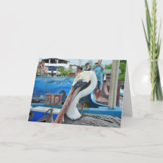Pelican at the Fish Market, Puerto Ayora Card