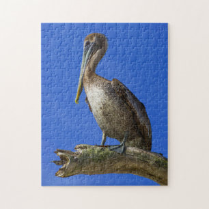 Pélican au puzzle