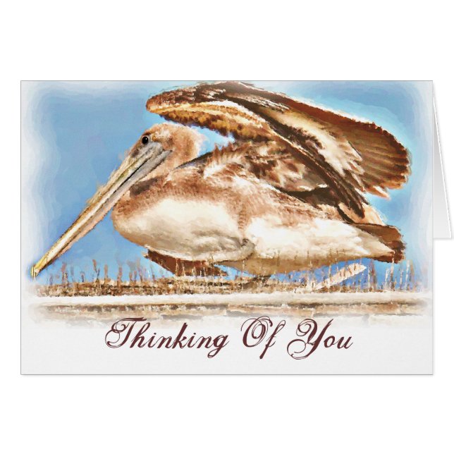 Pelican Await_ (Devant horizontal)