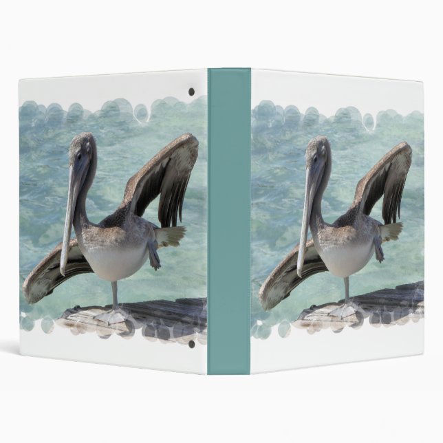 Pelican Binder (Background)