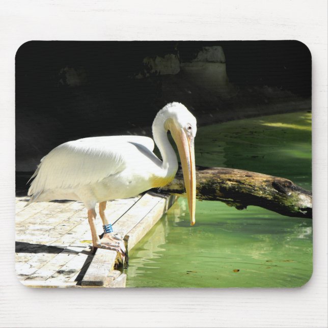 Pelican bird mouse pad (Front)
