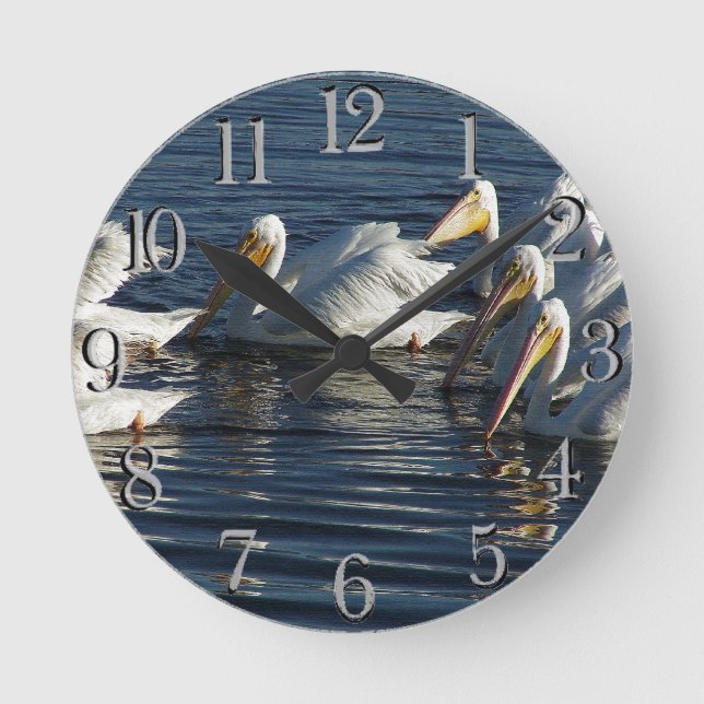 Pelican Bird Swimming Wildlife Animal Wall Clock (Front)
