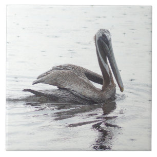 Pelican bird water Ceramic Tile