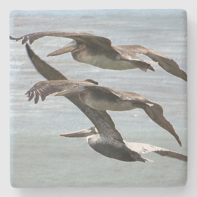 Pelican Bird Wildlife Beach Animal Stone Coaster (Front)